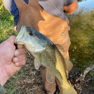 Meet your Posher, Cody